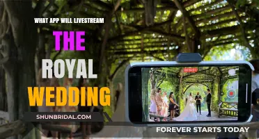 Where to Watch: Livestreaming the Royal Wedding Made Easy