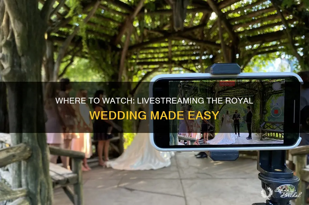 what app will livestream the royal wedding