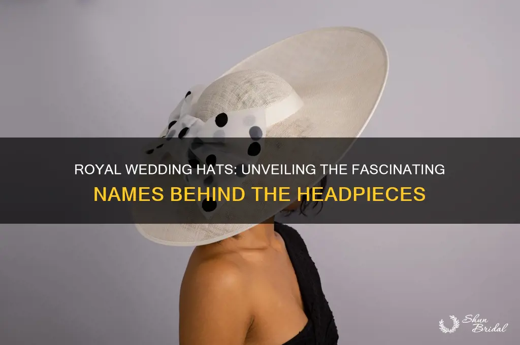 what ar ethose royal wedding hats called