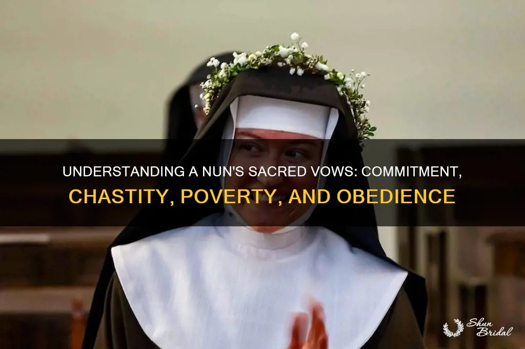 what are a nun