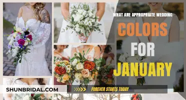 Winter Wedding Color Ideas: Perfect January Palette Inspiration