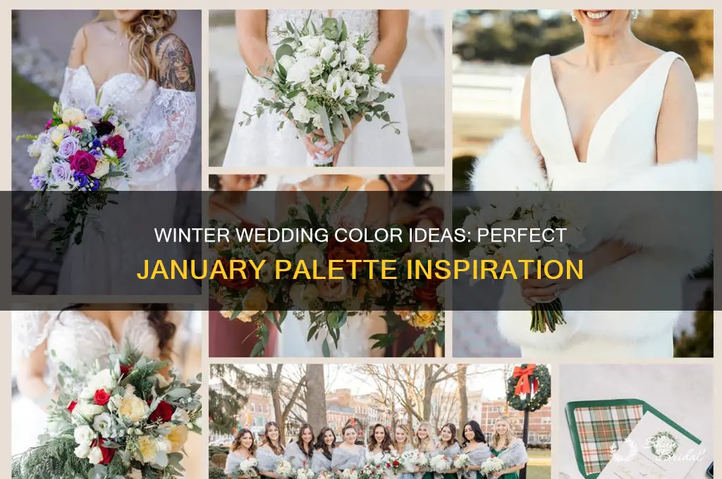 what are appropriate wedding colors for january