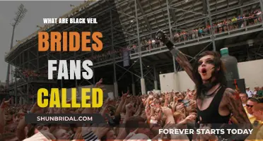 Unveiling the Name: What Are Black Veil Brides Fans Called?