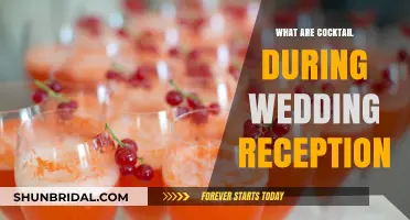 Cocktail Hour: Wedding Reception Drinks Explained