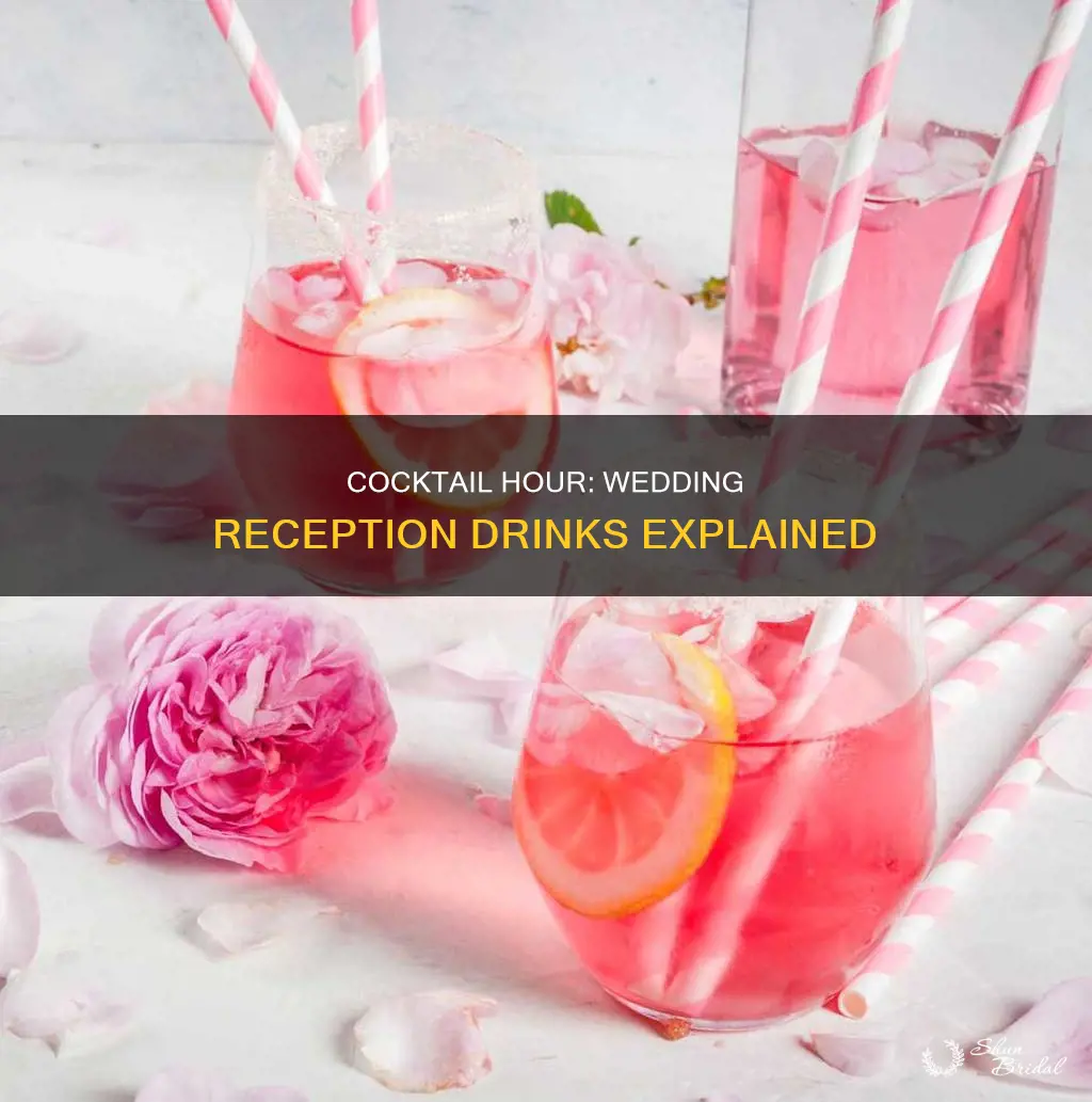 what are cocktail during wedding reception