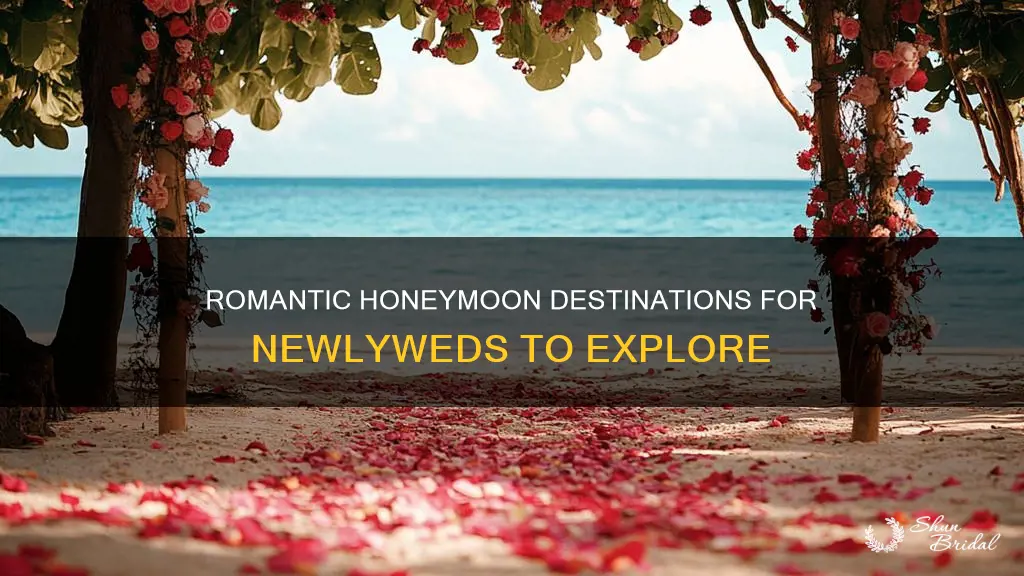 what are cool places to go for a honeymoon