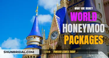 Honeymooners' Guide to Disney World Vacation Packages
