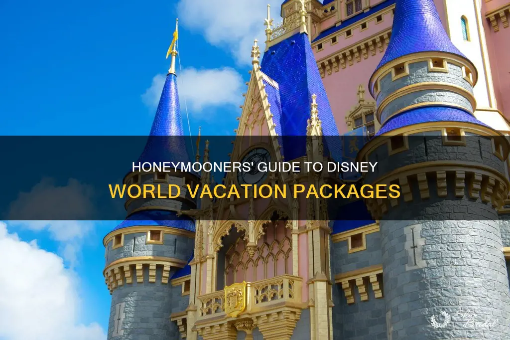 what are disney world honeymoon packages