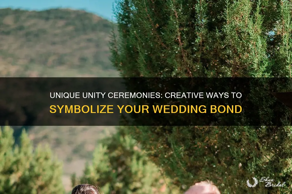 what are e the different unity ceremonies for weddings