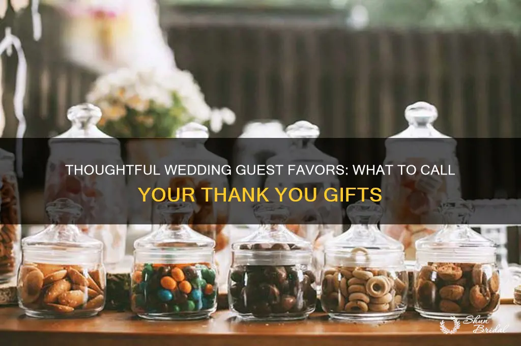 what are gifts for wedding guests called