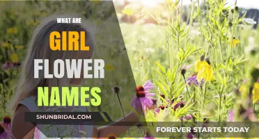 Beautiful Girl Names Inspired by Flowers: A Guide to Floral Monikers