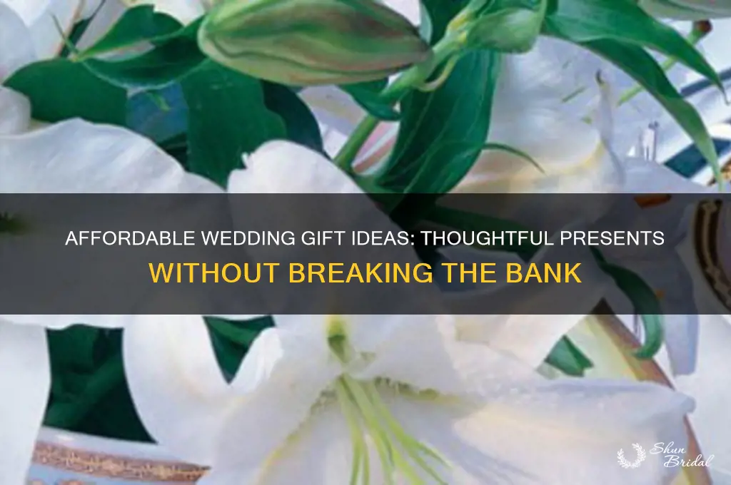 what are good cheap wedding gifts