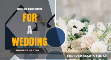 Choosing the Perfect Wedding Colors: Tips for a Timeless and Elegant Celebration