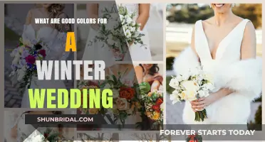 Elegant Winter Wedding Color Ideas for a Magical Celebration