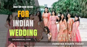 Vibrant Hues: Perfect Color Palette for Indian Wedding Celebrations