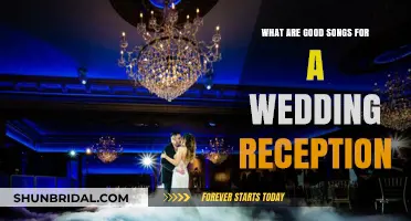 Best Songs to Celebrate Your Wedding Reception