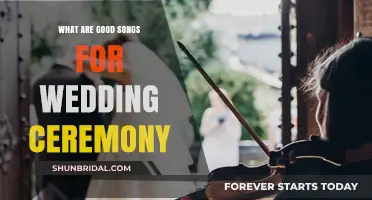 Perfect Wedding Ceremony Songs: Timeless Melodies for Your Special Day