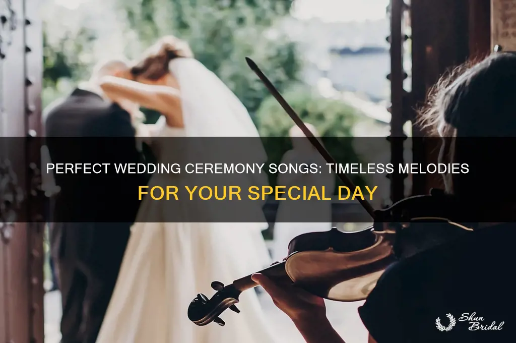 what are good songs for wedding ceremony