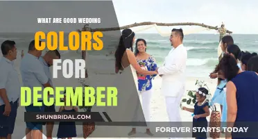 Winter Wedding Wonders: December Color Palettes for a Magical Celebration