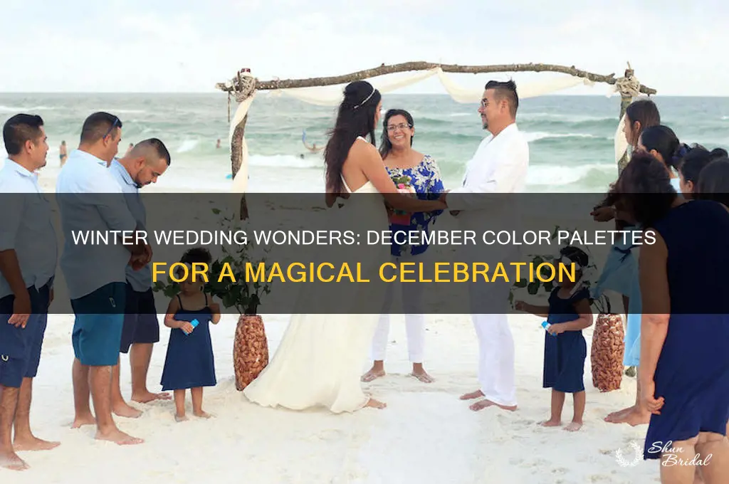 what are good wedding colors for december