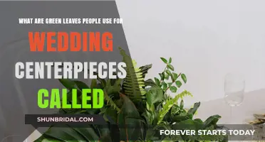 Eco-Friendly Wedding Decor: Names of Green Leaves for Centerpieces