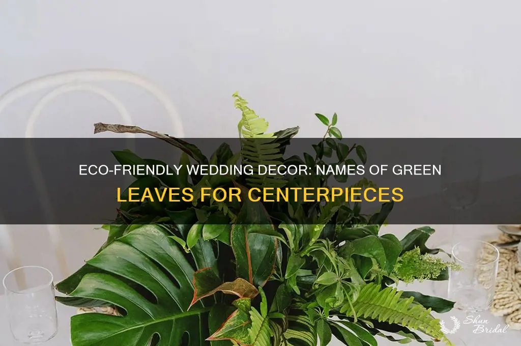 what are green leaves people use for wedding centerpieces called