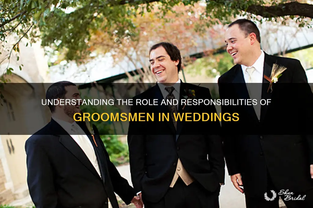 what are groomsmen