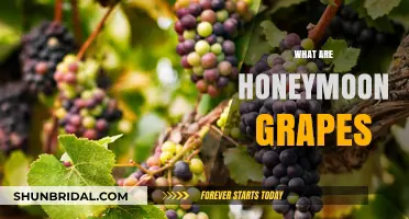 Discover the Sweet Secrets of Honeymoon Grapes: A Guide