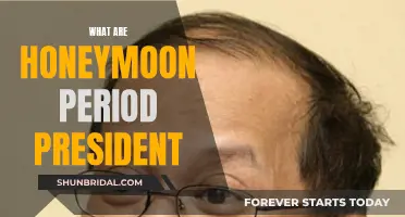 The Honeymoon Period: Presidents and Their First 100 Days