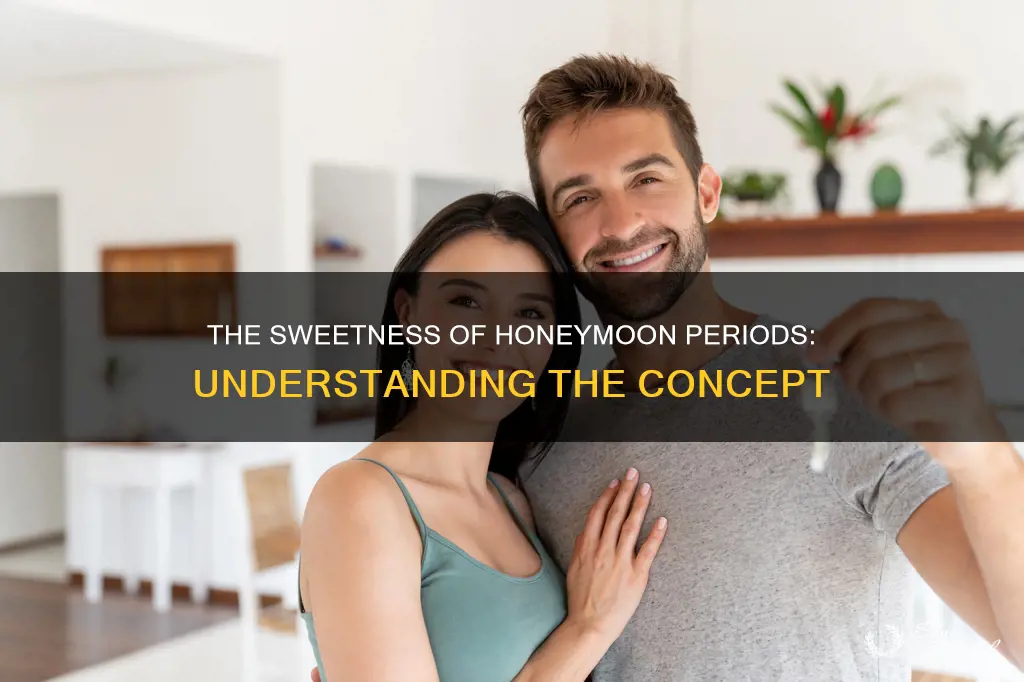 what are honeymoon periods