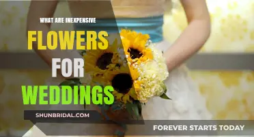 Inexpensive Wedding Flowers: Budget-Friendly Blooms