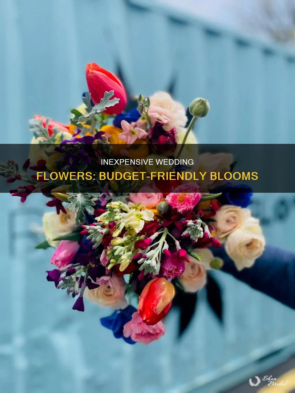 what are inexpensive flowers for weddings