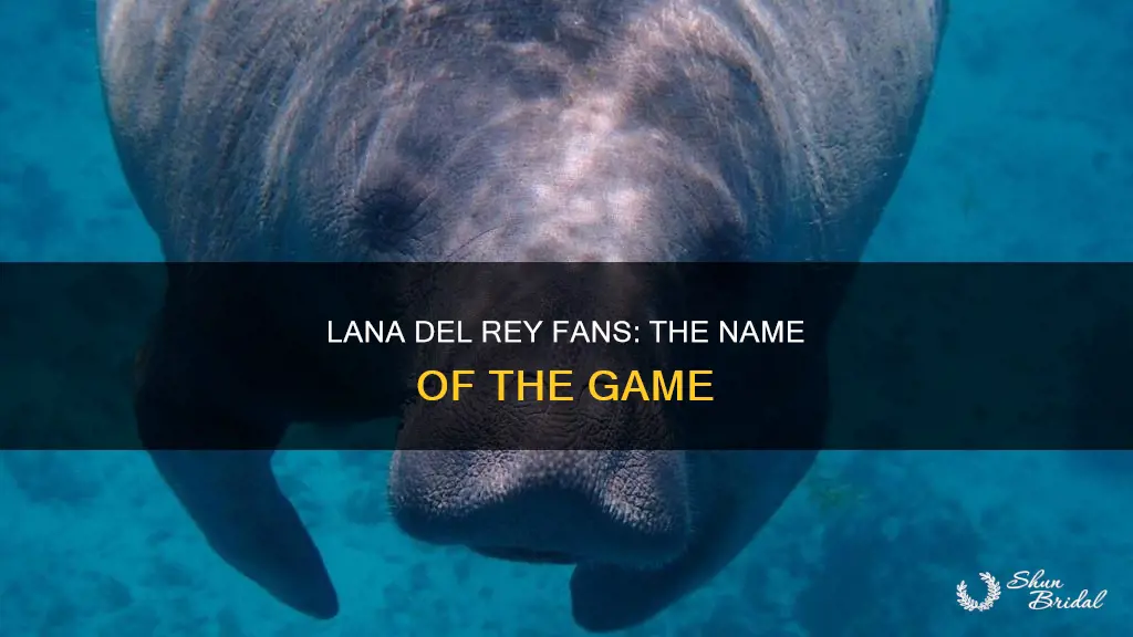 what are lana del rey fans called