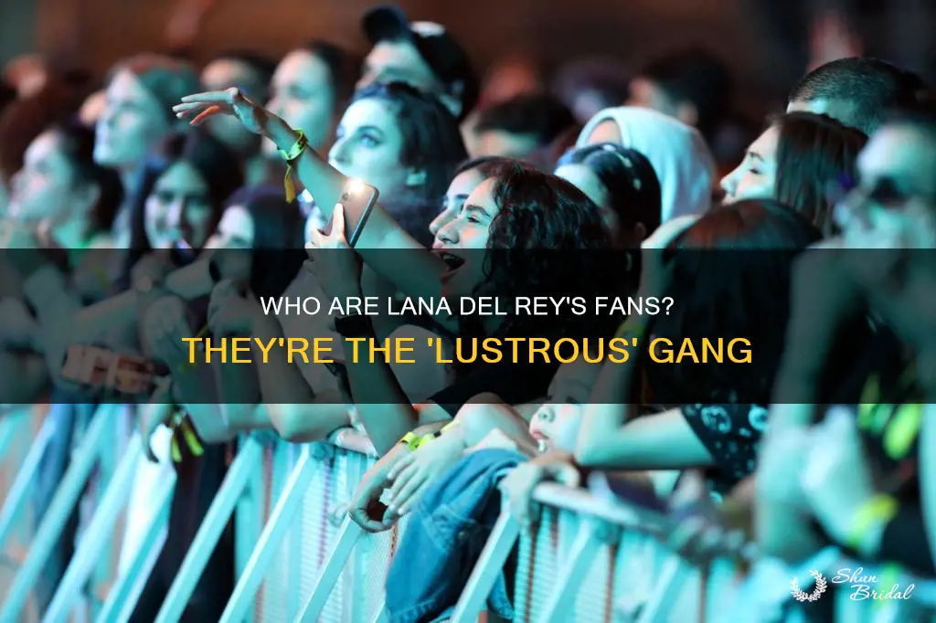 what are lana del rey fans called