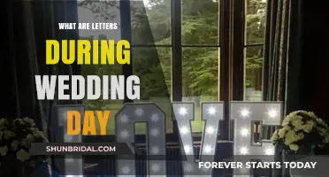 Heartfelt Wedding Day Letters: Sharing Love, Memories, and Promises