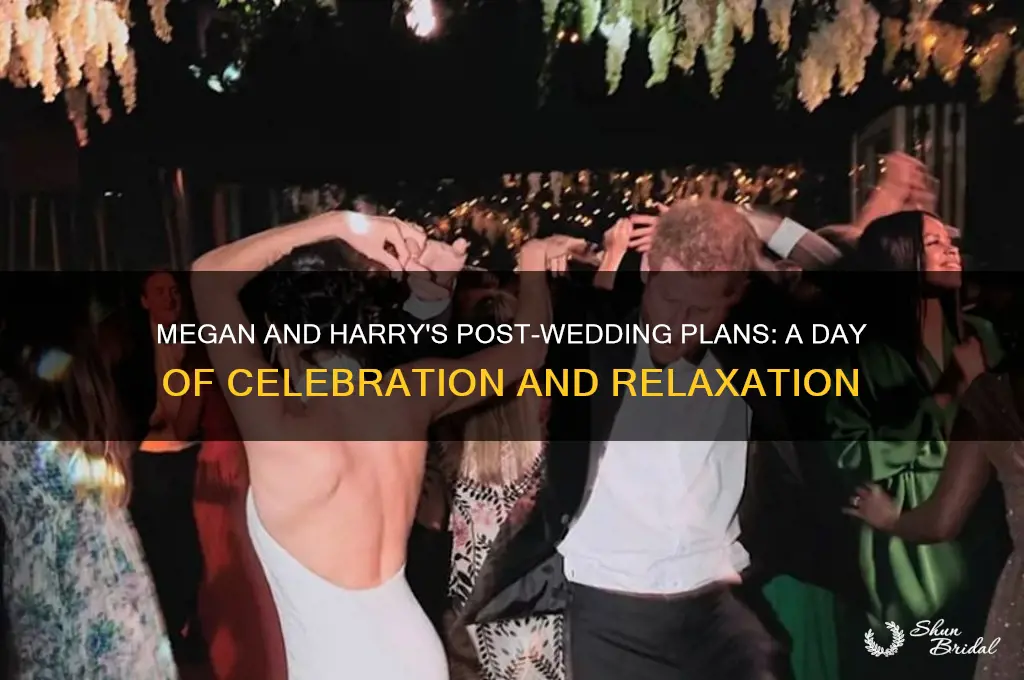 what are megan and harry doing the day after wedding