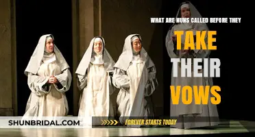 Before the Veil: Understanding the Title of Nuns-in-Training