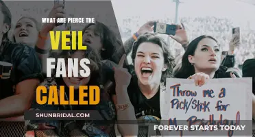 Discovering the Unique Name for Pierce the Veil's Dedicated Fans
