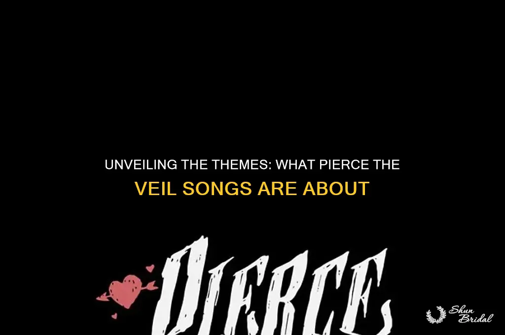 what are pierce the veil songs about