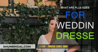 Wedding Dresses: Plus-Size Options and Where to Find Them
