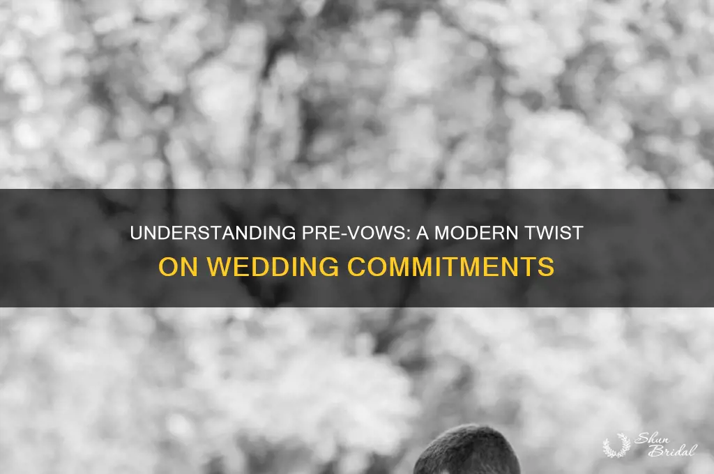 what are pre vows