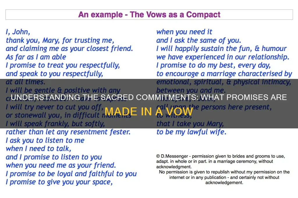 what are promises made in a vow