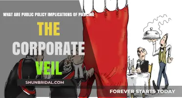 Piercing the Corporate Veil: Public Policy Implications and Legal Risks
