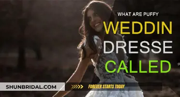 The Magic of Puffy Wedding Dresses: Ball Gowns