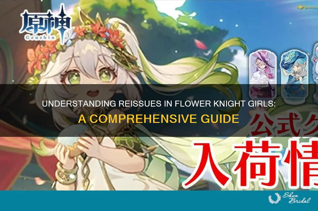 what are reissue in flower knight girls
