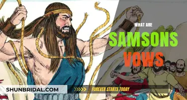 Understanding Samson's Vows: Their Meaning, Significance, and Biblical Context
