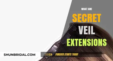 Unveiling the Mystery: What Are Secret Veil Extensions?