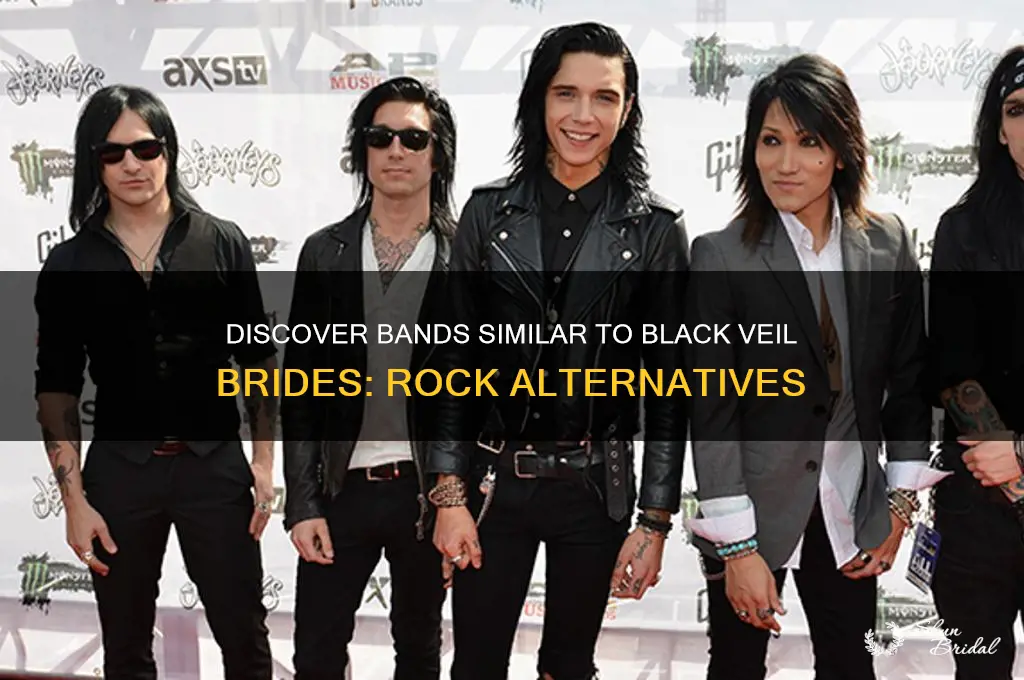 what are some bands like black veil brides