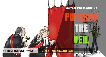 Piercing the Veil: Real-World Examples of Corporate Liability Exposure