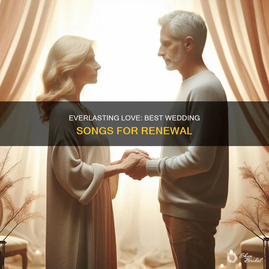 what are some good wedding songs for renewal